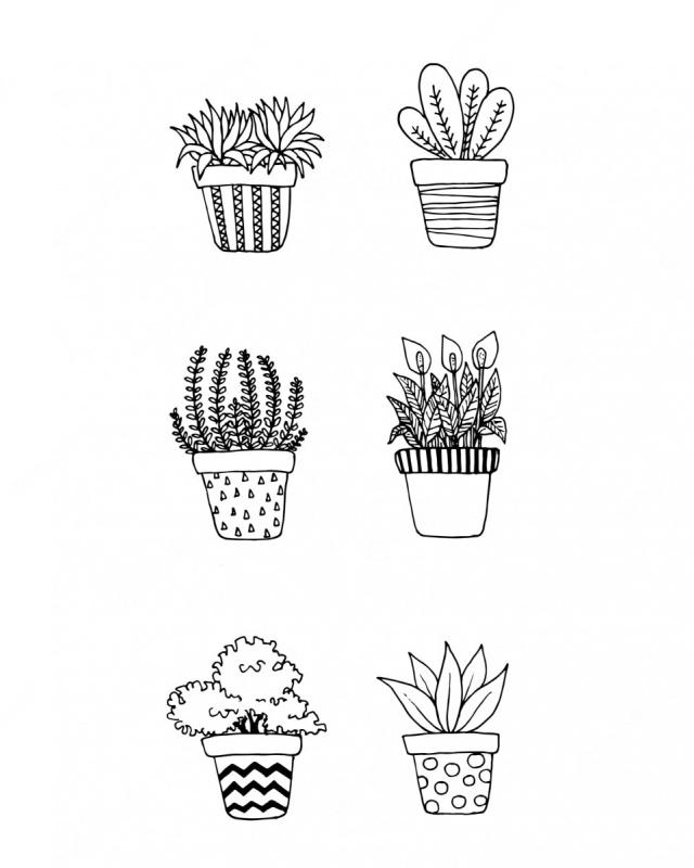 Наклейки черно белые кактусы