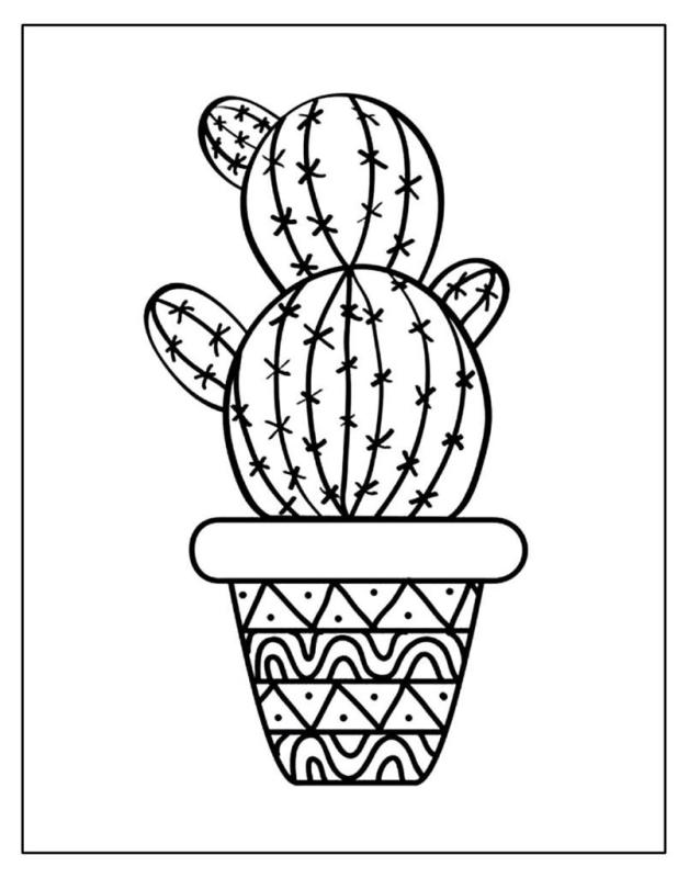 Наклейки кактусы