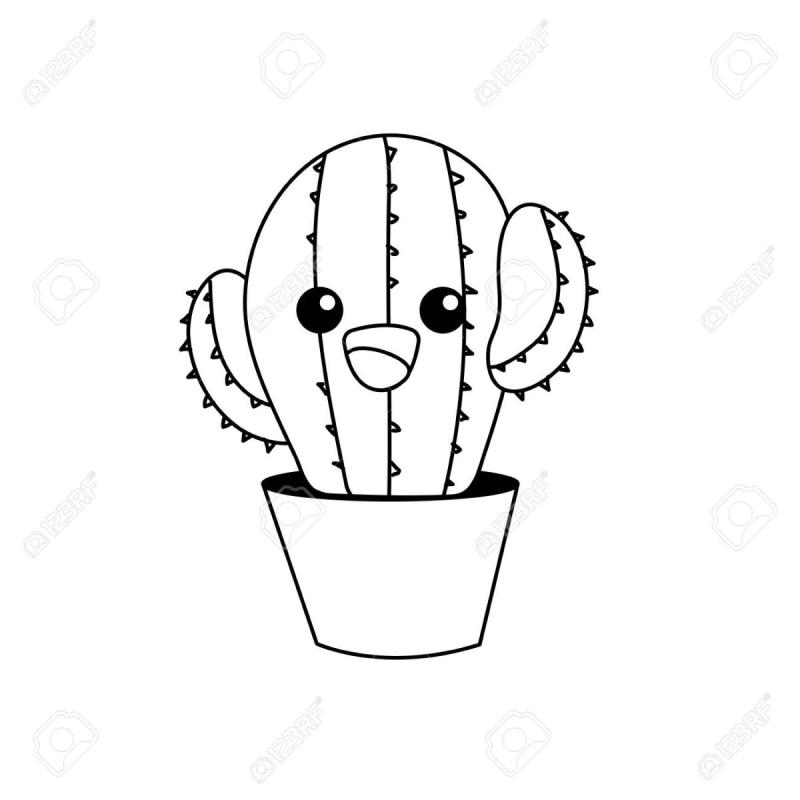 Раскраска Суккуленты