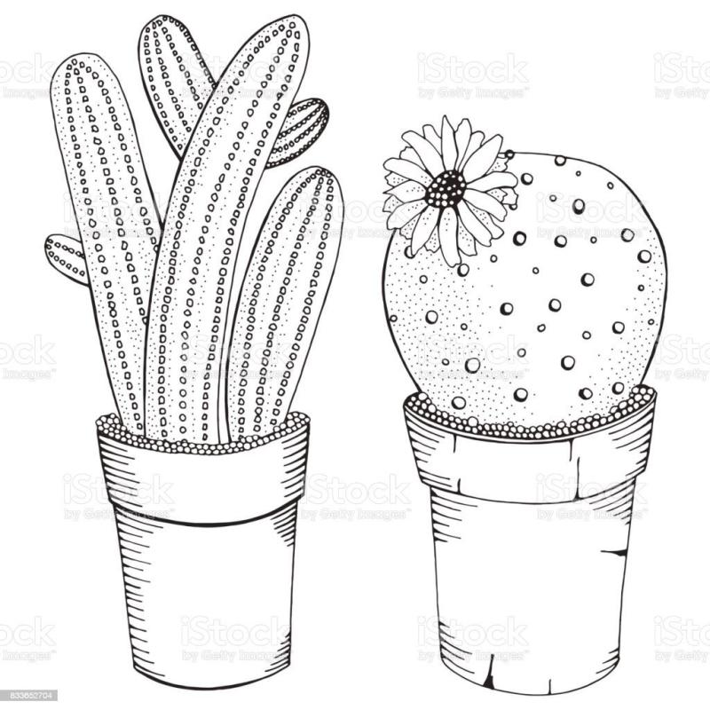 Рисунки в скетчбук лёгкие кактусы