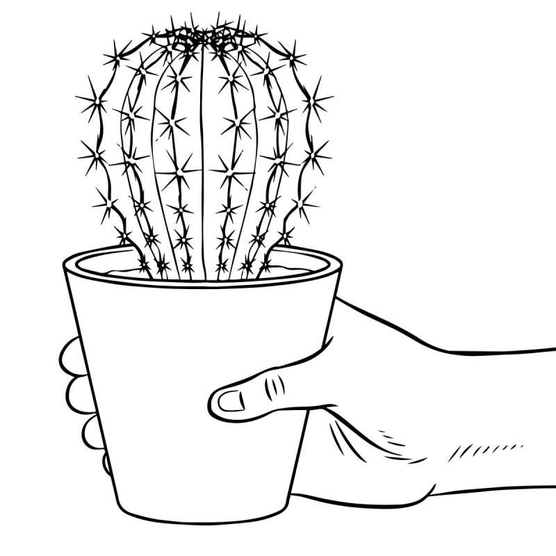 Кактус в горшке контур