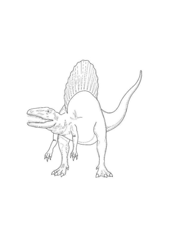 Раскраска динозавры распечатать Спинозавр