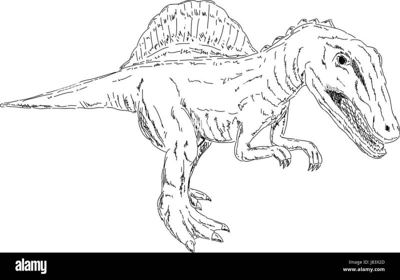 Раскраска Спинозавр и Тираннозавр