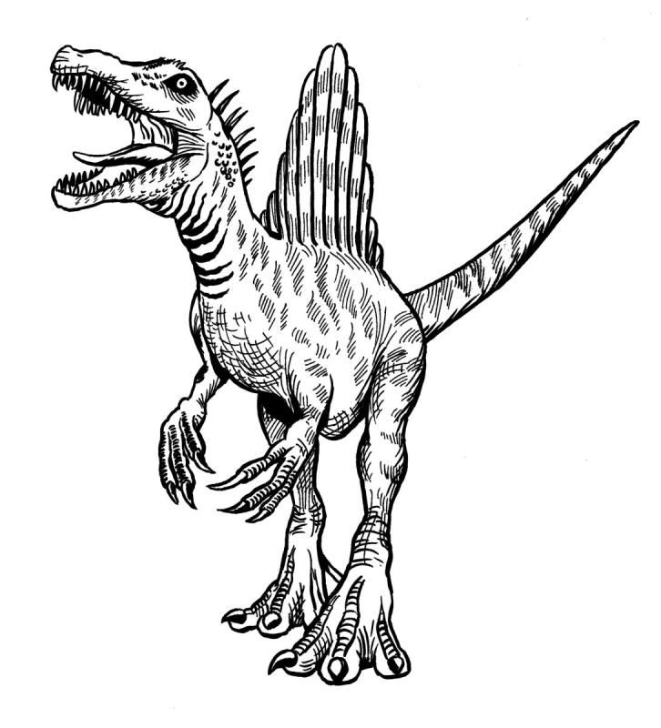 Спинозавр черн