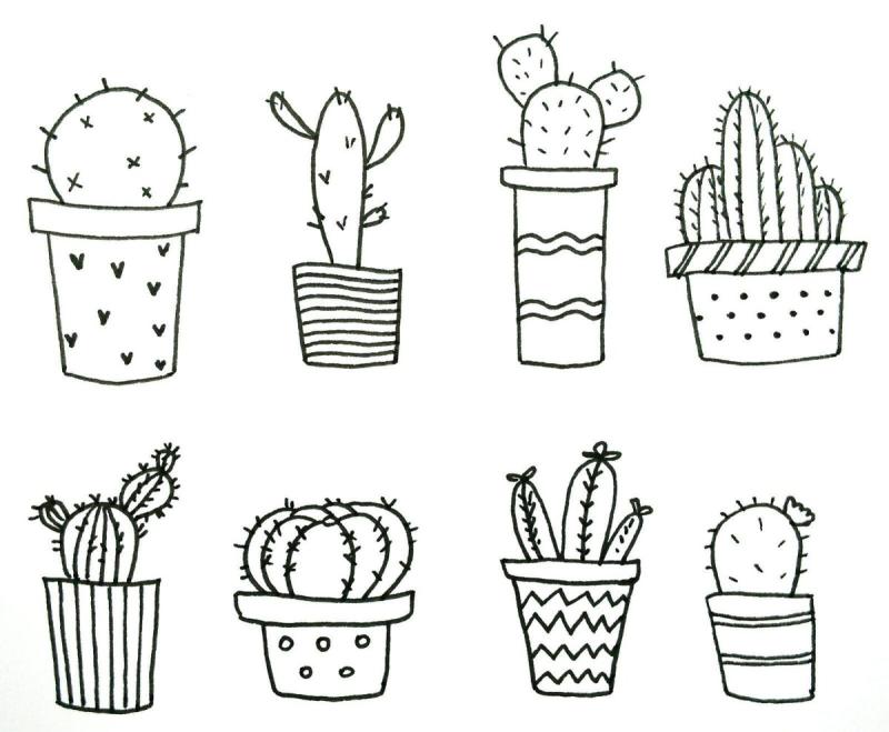 Кактус рисунок