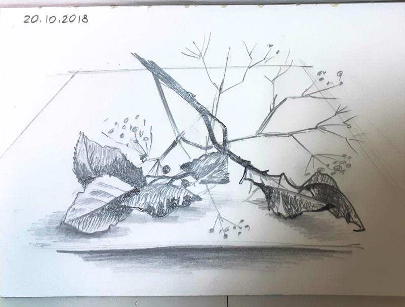 Осенний пейзаж карандашом