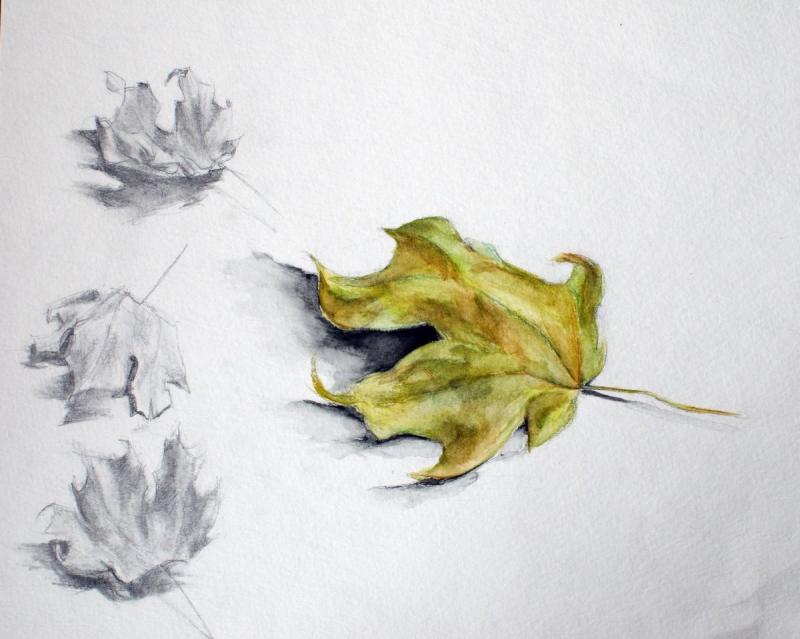 Листья цветными карандашами