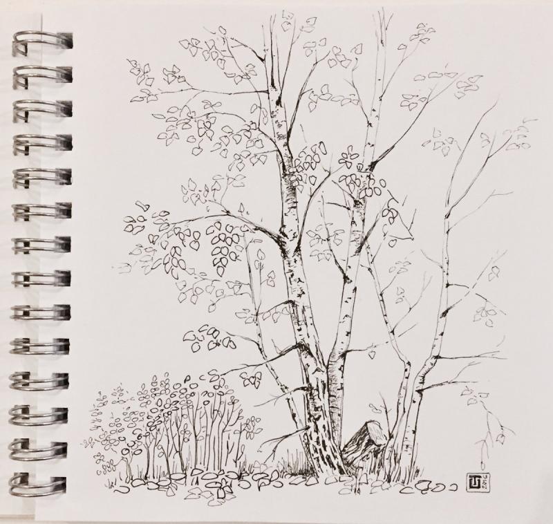 Осенний пейзаж в графике