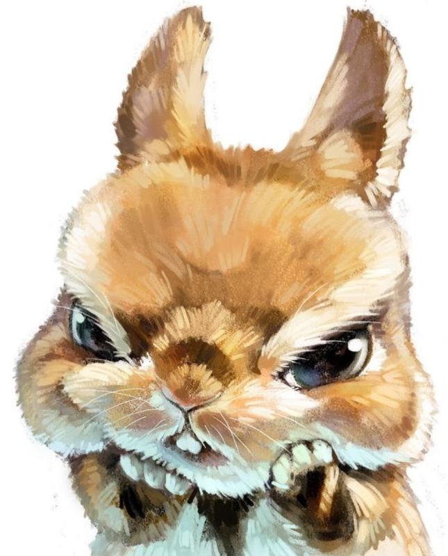 Животные рисунки