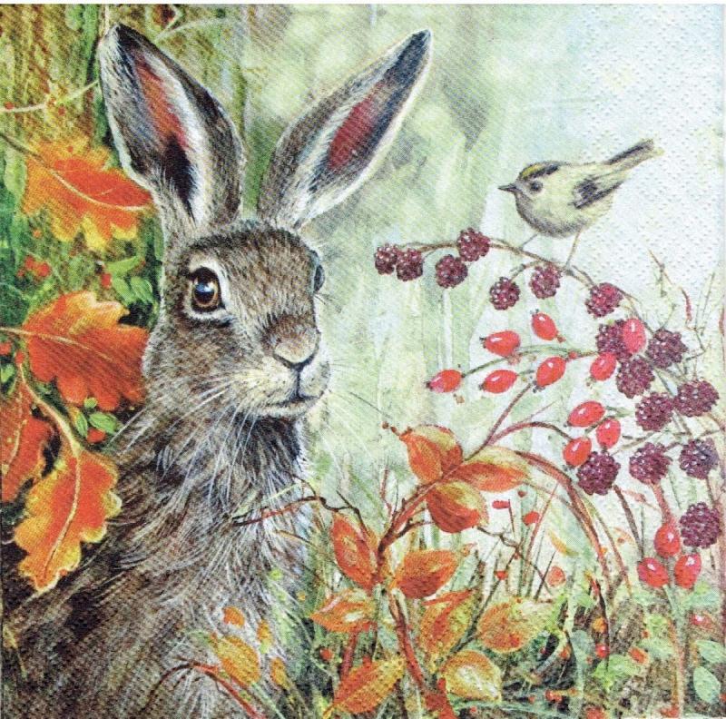 Картины леса с зайцами