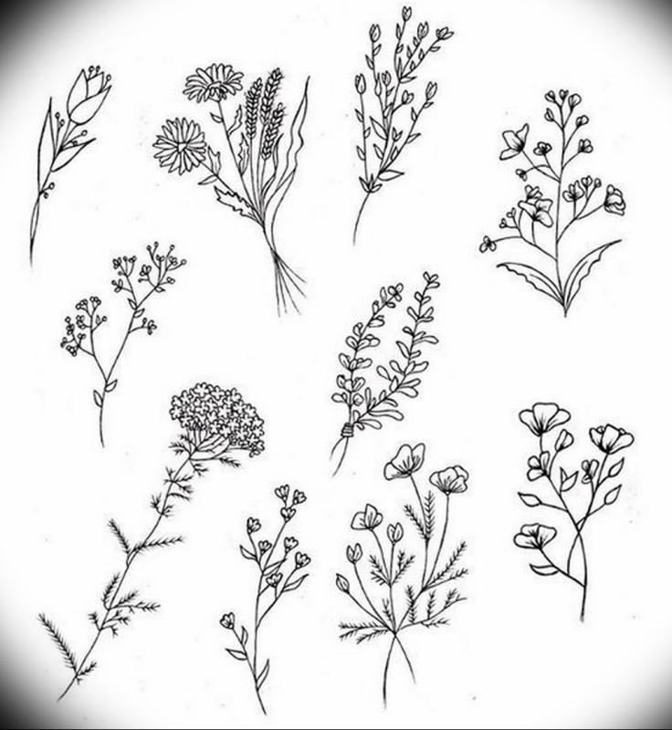 Наклейки растения