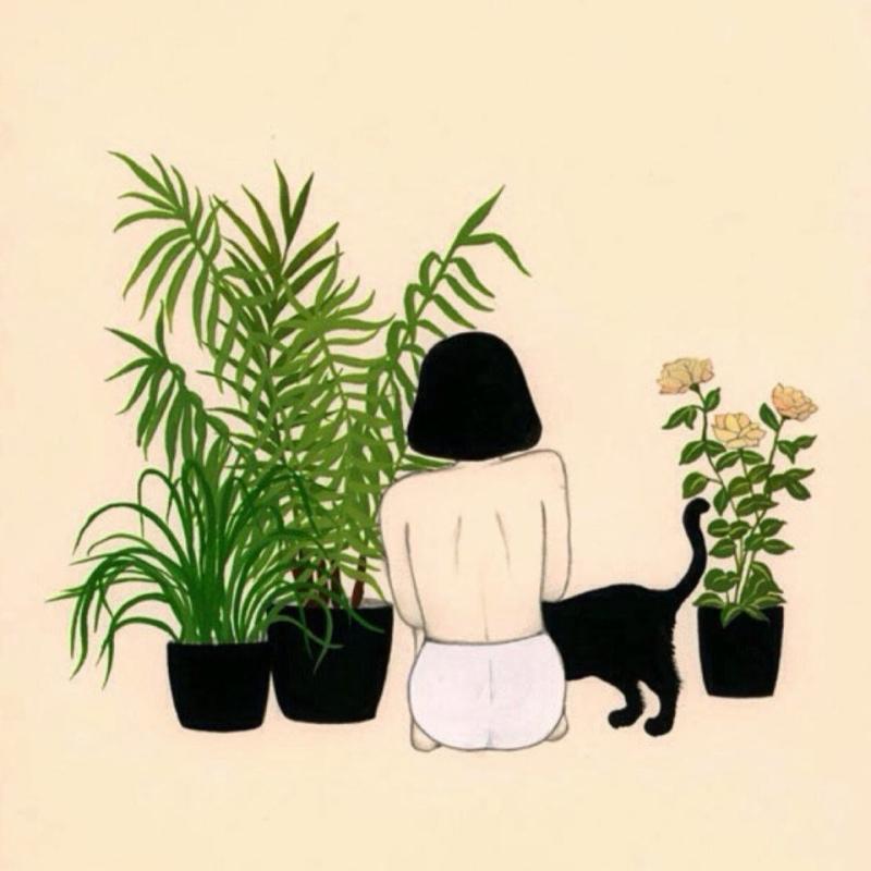 Эхеверия айс Грин