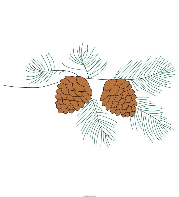 Ветка с шишками вектор