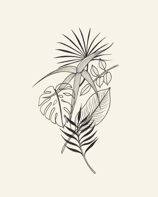 Силуэт соснового леса