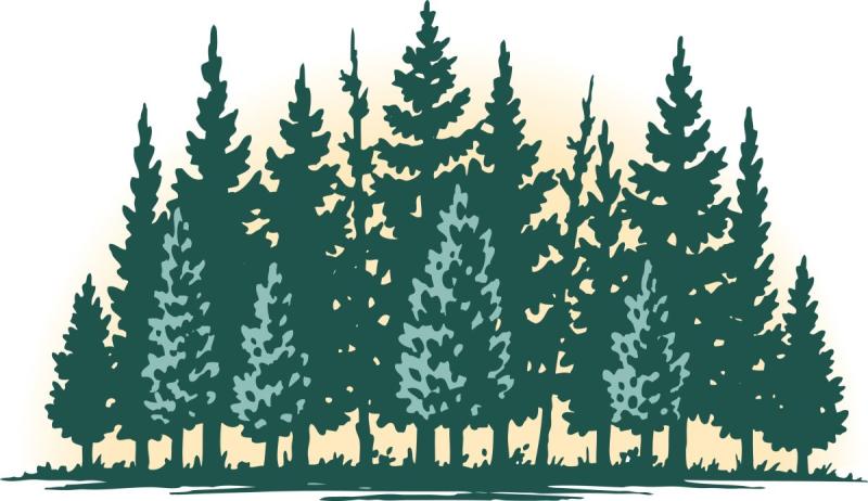 Скетчи маркерами