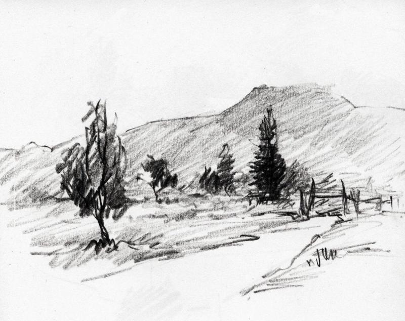 Кактус заставка