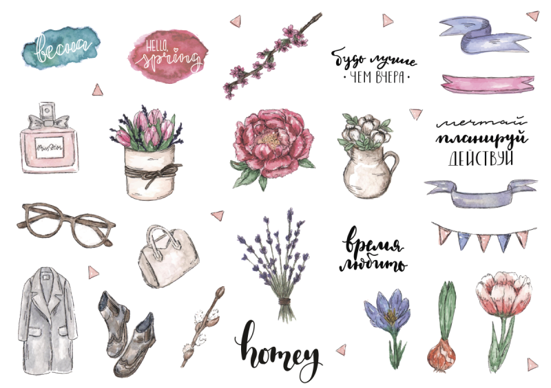 Ботанический скетчинг Суккуленты