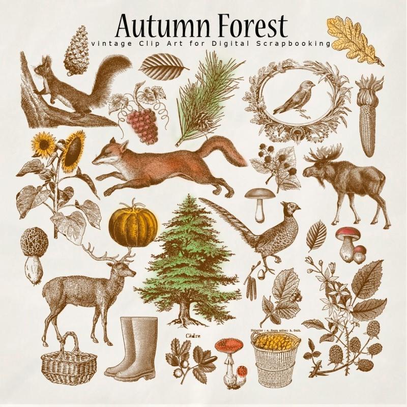 Хипстерские фоны из пинтереста