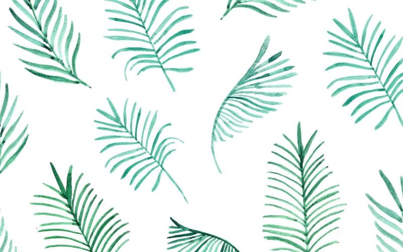 Паттерны пальмовый лист