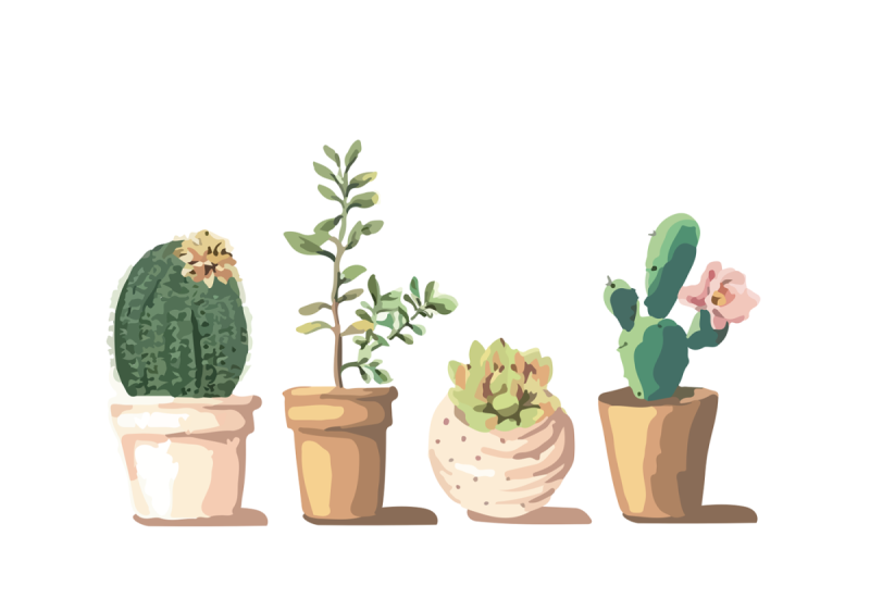 Стилизованные перья