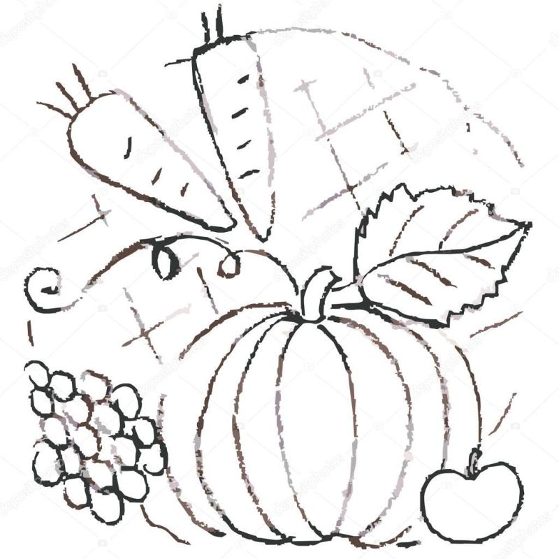 Фрукты. Раскраска