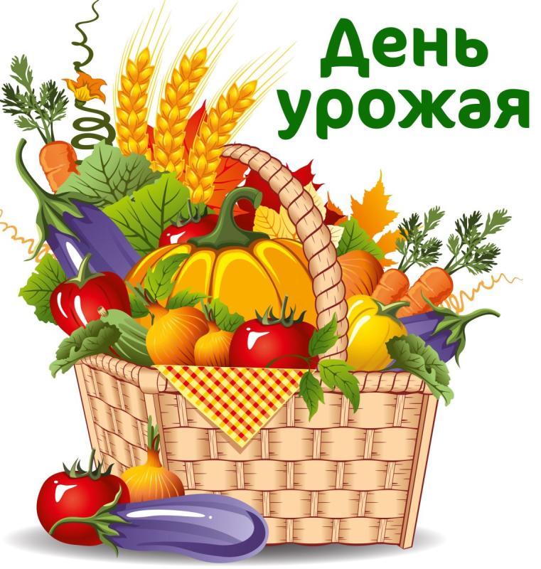 Постер тыква