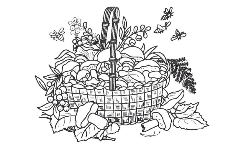 Натюрморт раскраска