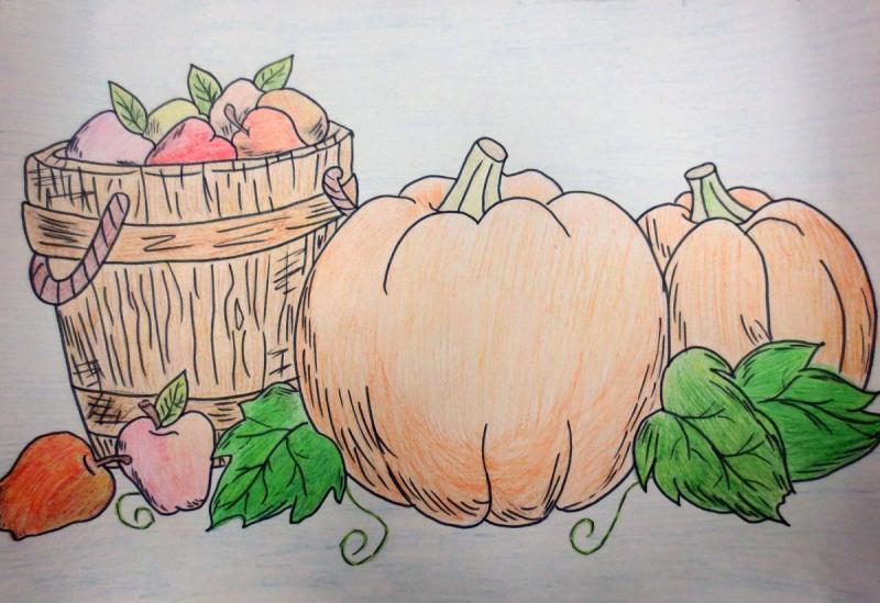 Тыква Ксения Адоньева отшив