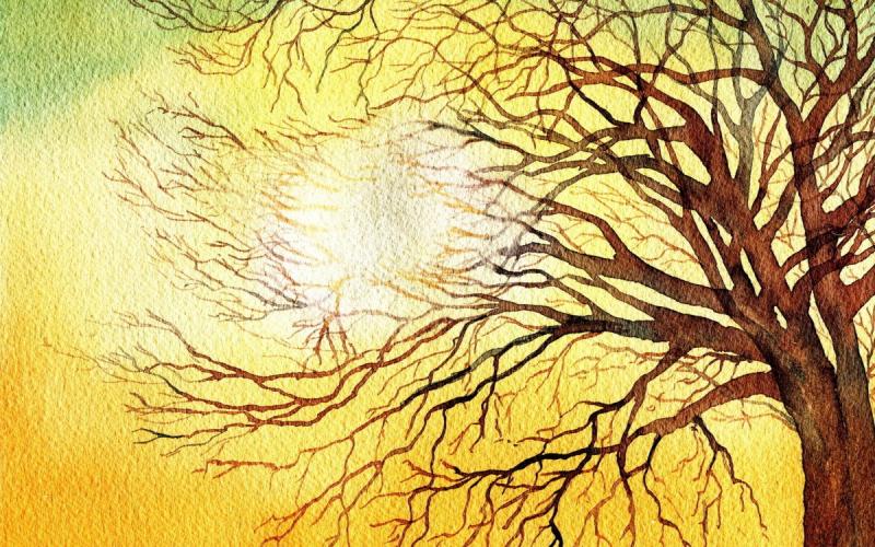 Изящное дерево