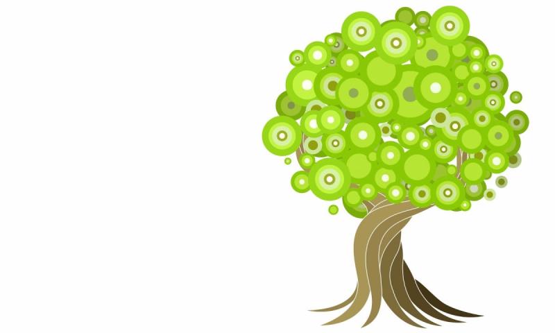 Волшебное дерево