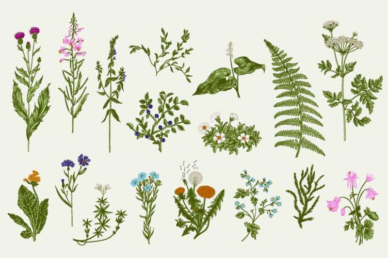 Стилизованные полевые цветы