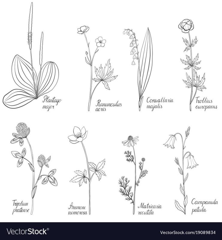 Трава на чертеже