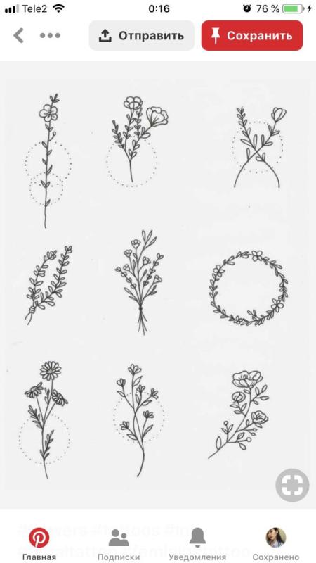 Акварельные полевые цветы