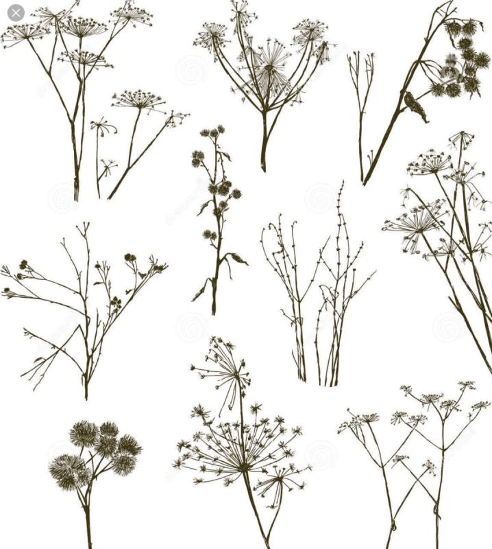 Тату Ромашка эскизы маленькие