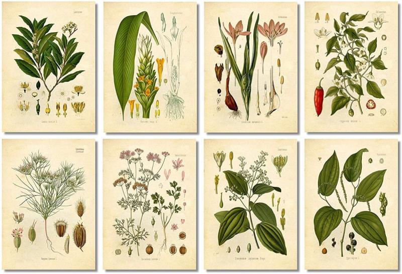 Лото первоцветы