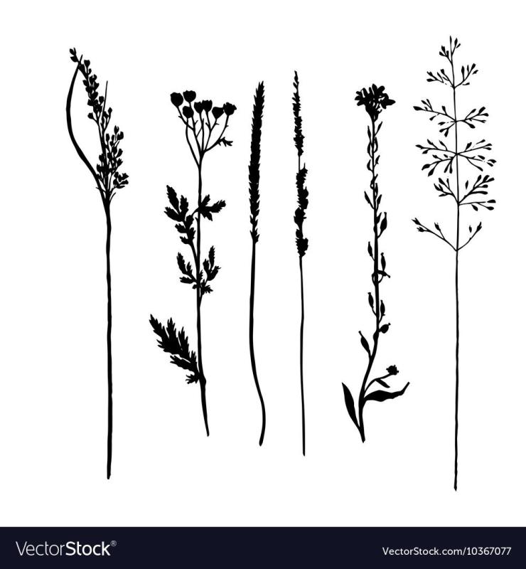 Тату луговые травы