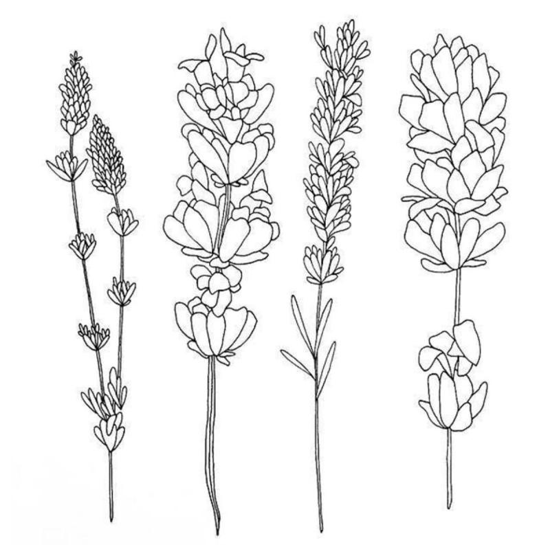Мелкие цветы эскиз тату