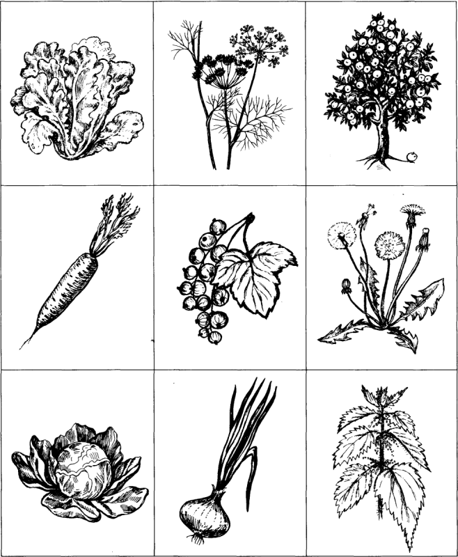 Тату растения эскизы