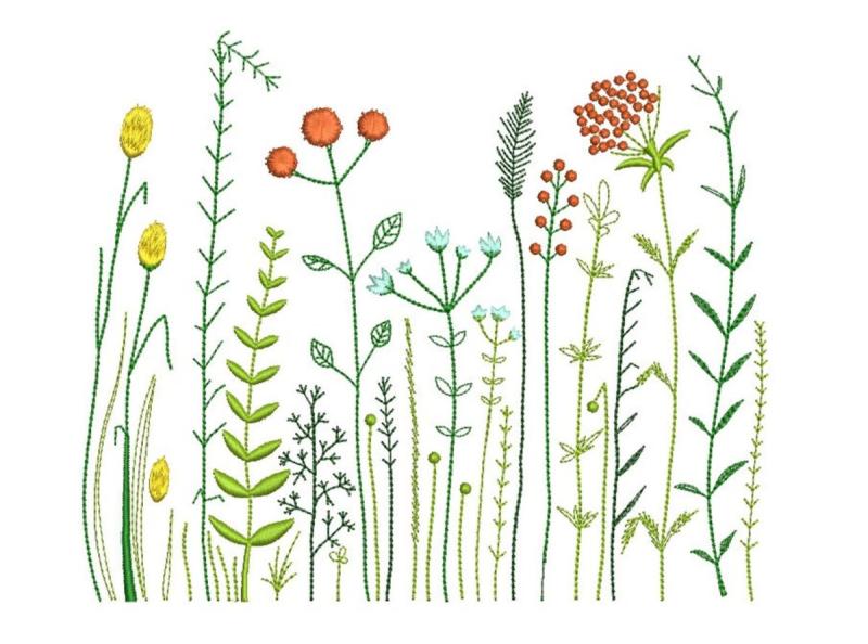 Части растений раскраска