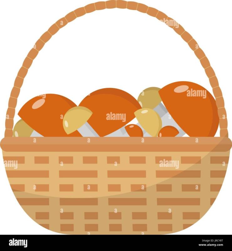 Корзинка с грибами вектор