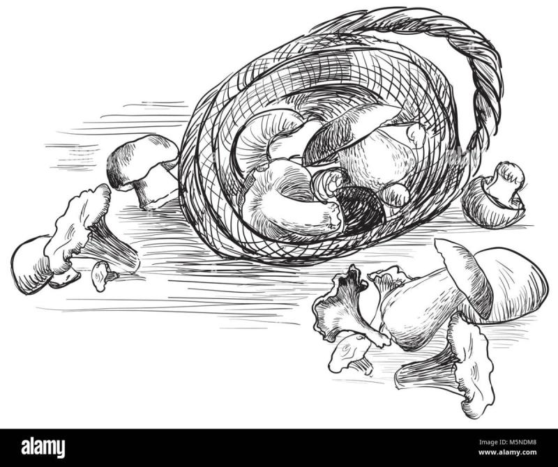 Грибы в корзине черно-белая Графика