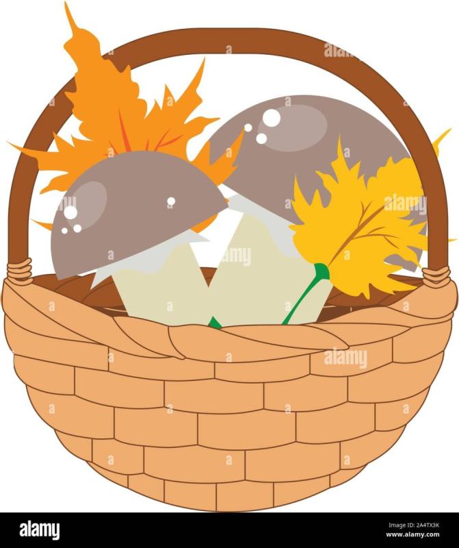 Рисунок корзина с грибами и листьями