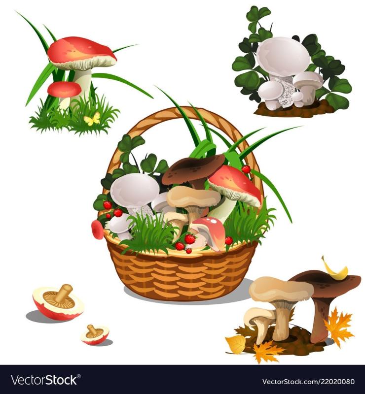 Лукошко с грибами вектор
