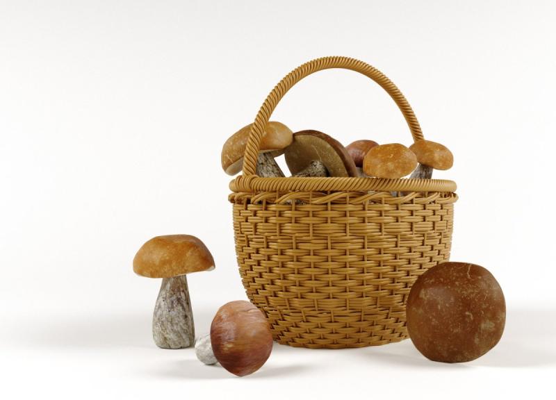 Лукошко с грибами
