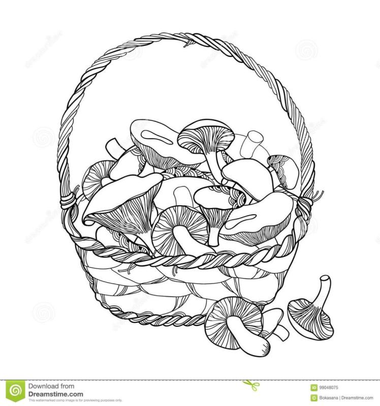 Корзина с грибами