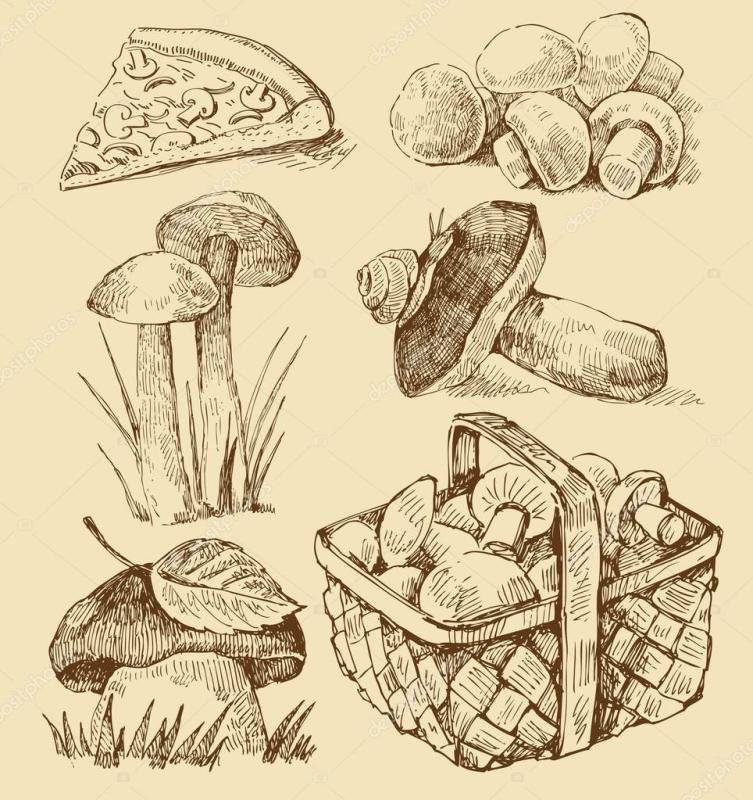 Скетч корзина с грибами