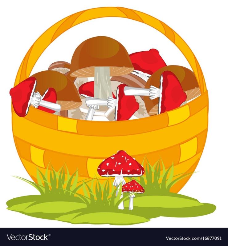 Корзина грибов вектор
