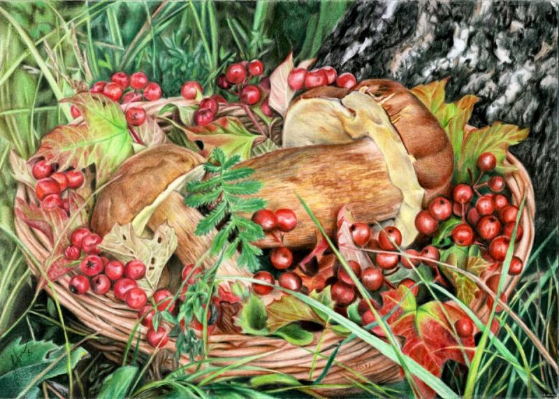 Ягоды в лукошке в лесу живопись