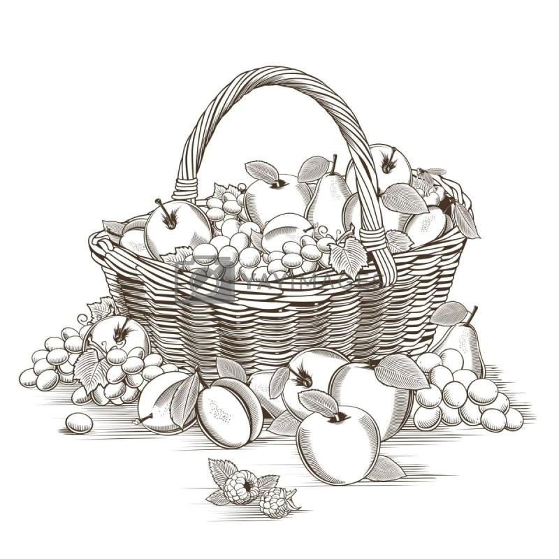 Корзина с фруктами чб