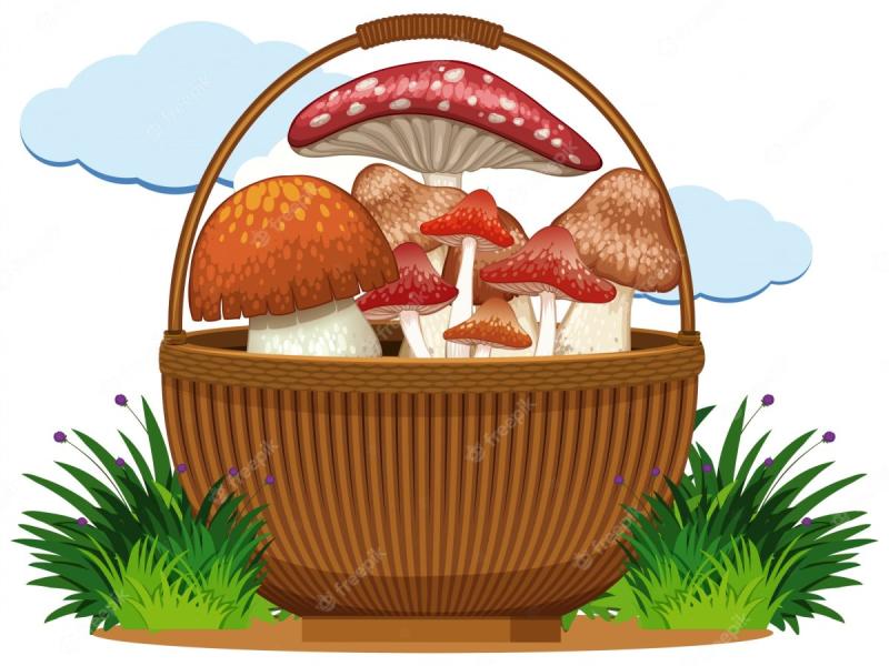 Корзинка с грибами вектор